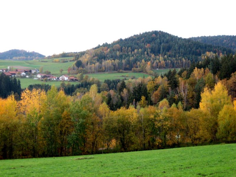 Herbstwald