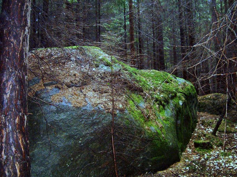 Wanderung am Schleusenweg