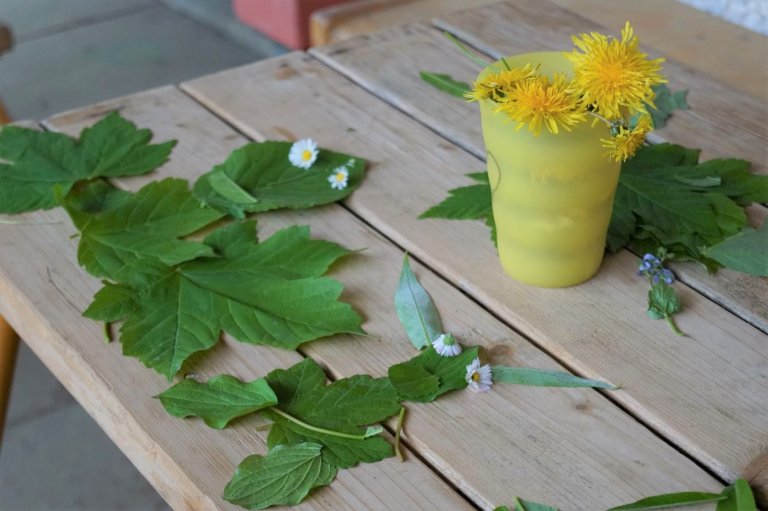 Garten 23